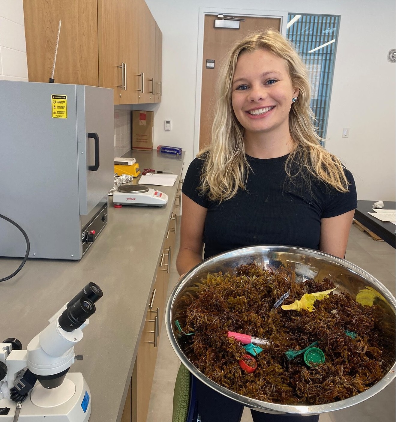 Over the last year, Stetson University student Charlotte Kraft has been looking into how much plastic is ending up in the sargassum washing ashore on Florida beaches.