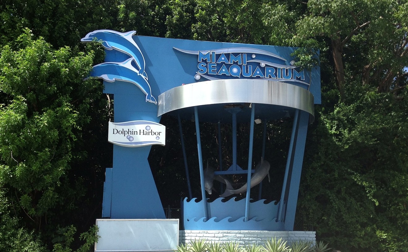 Shortly Before the County Terminated Its Lease, We Visited the Seaquarium, Miami's Saddest Attraction
